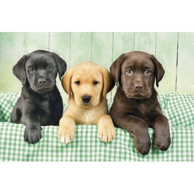 Puzzle Clementoni-39279 Trois Laboratoires
