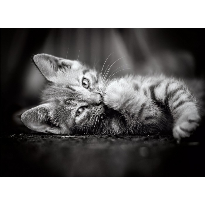 Puzzle Clementoni-39422 Chaton