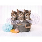 Puzzle   Chatons