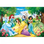 Puzzle   Pièces XXL - Disney Princess