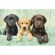Trois Laboratoires