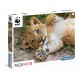 WWF - Lionceau