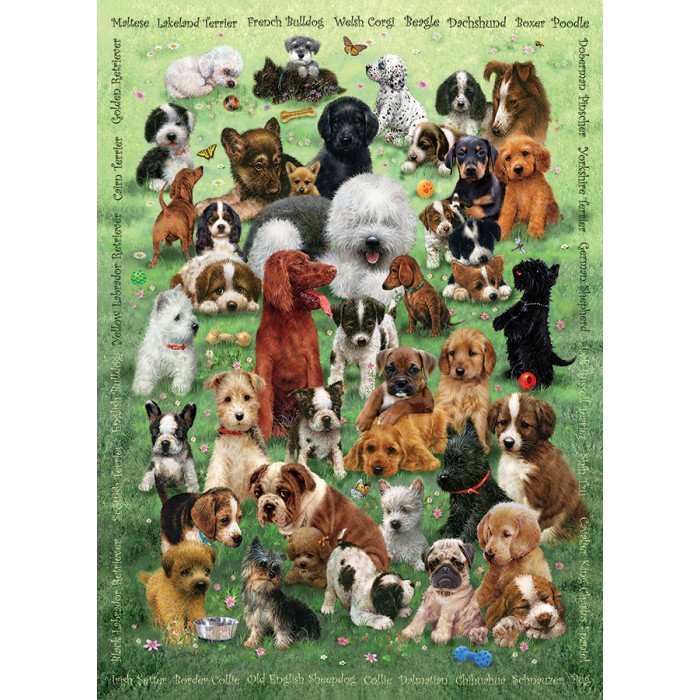 Puzzle  Cobble-Hill-47007 Family - Chiots