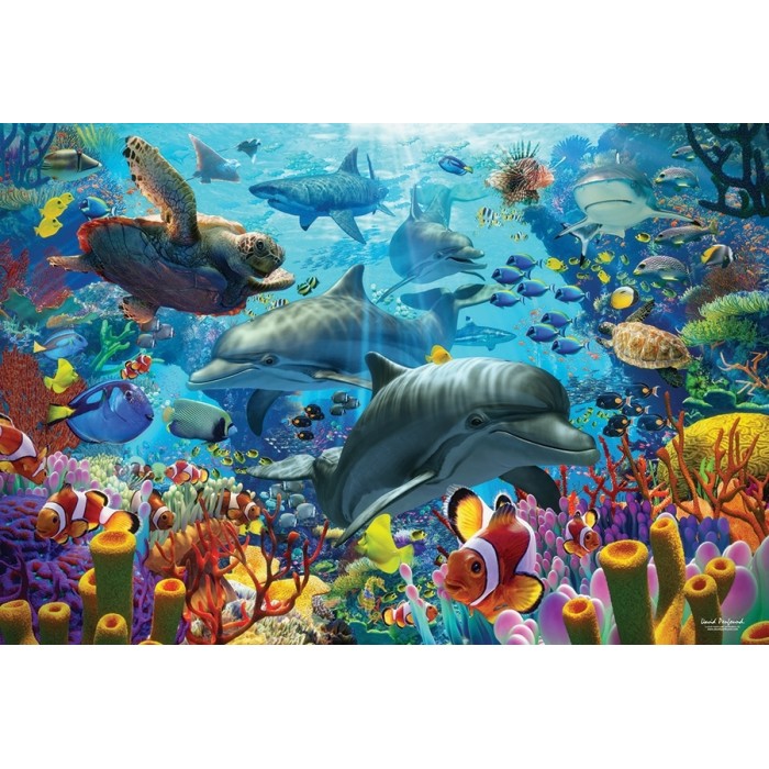 Puzzle  Cobble-Hill-49007 Coral Sea