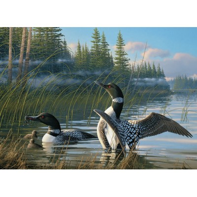 Puzzle Cobble-Hill-51810 Michael Sieve - Common Loons