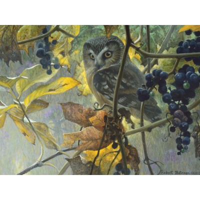 Puzzle Cobble-Hill-52086 Pièces XXL - Robert Bateman - Saw-whet Owl and Wild Grapes