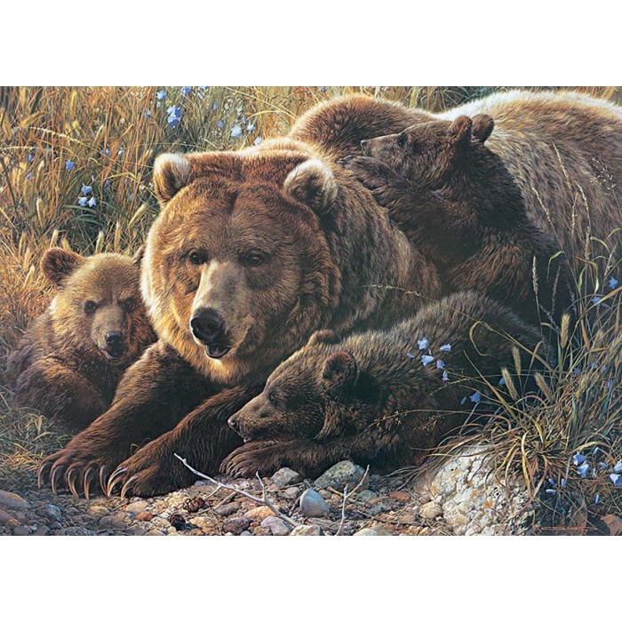 Puzzle Cobble-Hill-54624 Pièces XXL - Grizzly Family