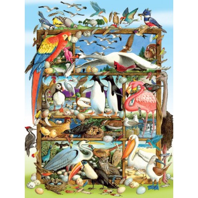 Puzzle Cobble-Hill-54639 Pièces XXL - Birds of the World