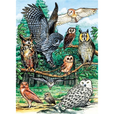 Puzzle Cobble-Hill-58810 North American Owls
