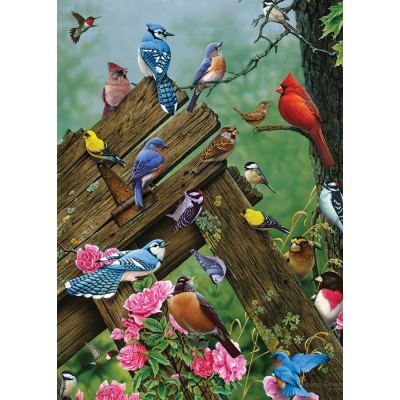 Puzzle Cobble-Hill-58889 Wildbird Gathering
