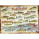 Puzzle  Cobble-Hill-80094 Freshwater Fish of North America