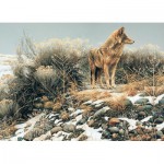 Puzzle   Robert Bateman : Coyote en Hiver
