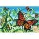 Puzzle Géant de Sol : Le cycle de vie du Papillon Monarque