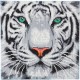 Crystal Art - Kit Broderie Diamant - Tigre des Neiges
