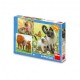 3 Puzzles - Famille