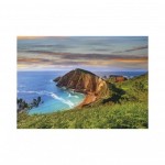 Puzzle  Dino-50243 Récif Marin