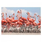 Puzzle  Dino-50250 Flamingoes