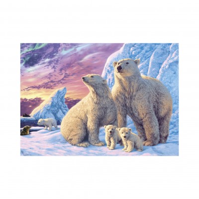 Dino-53278 Secret Puzzle - Ours Polares