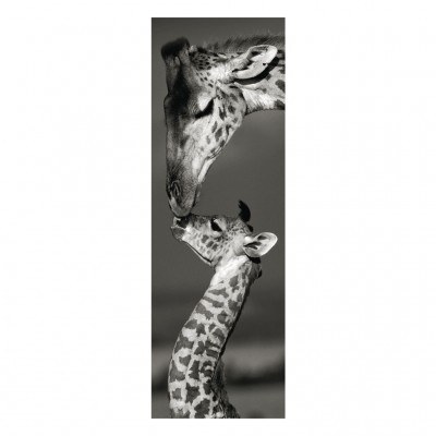 Puzzle Dino-54511 Girafes