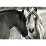Puzzle   Black and White Horses