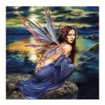 Puzzle   Butterfly Fairy