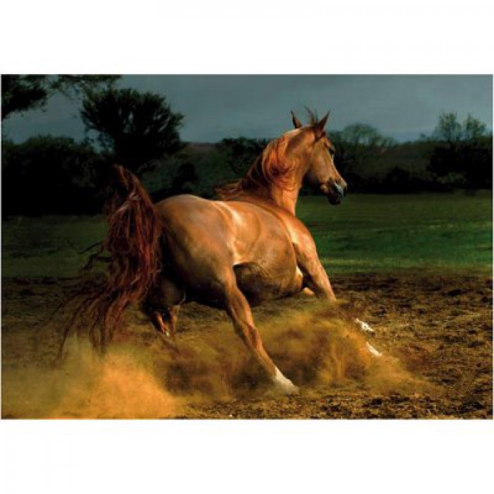 Puzzle  DToys-70388 Cheval chestnut