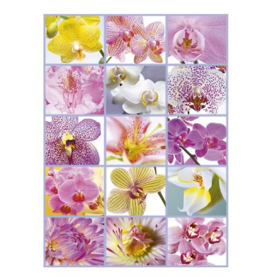 Puzzle Educa-16302 Collage d'Orchidées