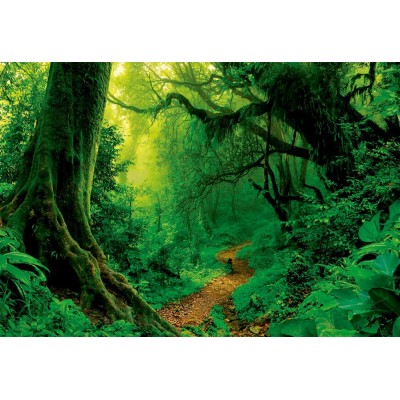 Puzzle Educa-17098 Enchanted Forest