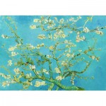 Puzzle  Enjoy-Puzzle-1125 Vincent Van Gogh : Fleur d'amandier