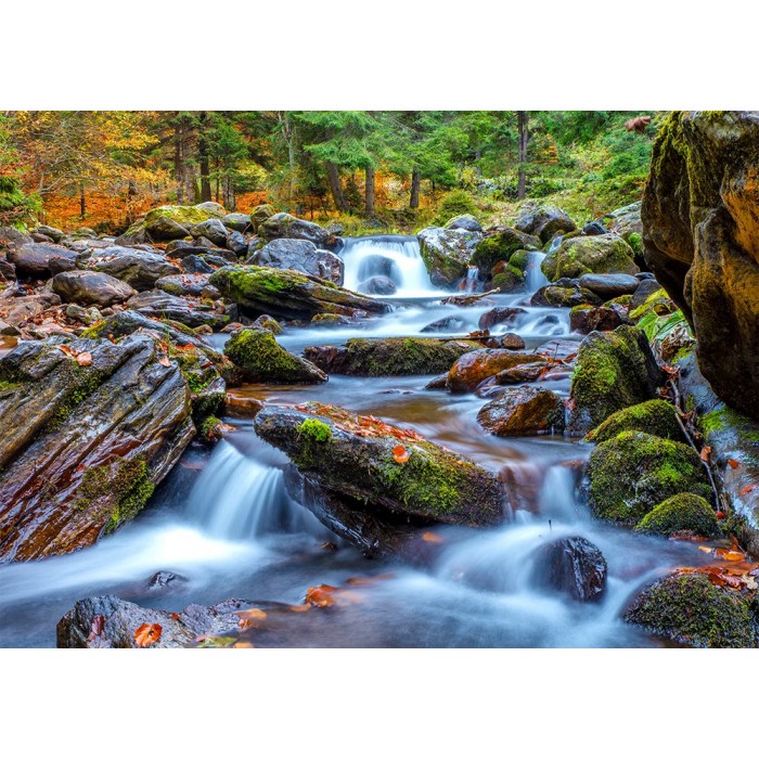 Puzzle  Enjoy-Puzzle-1281 Forest Stream in Autumn