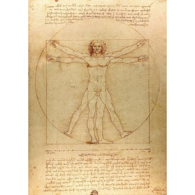 Puzzle Enjoy-Puzzle-1557 De Vinci - L'Homme de Vitruve