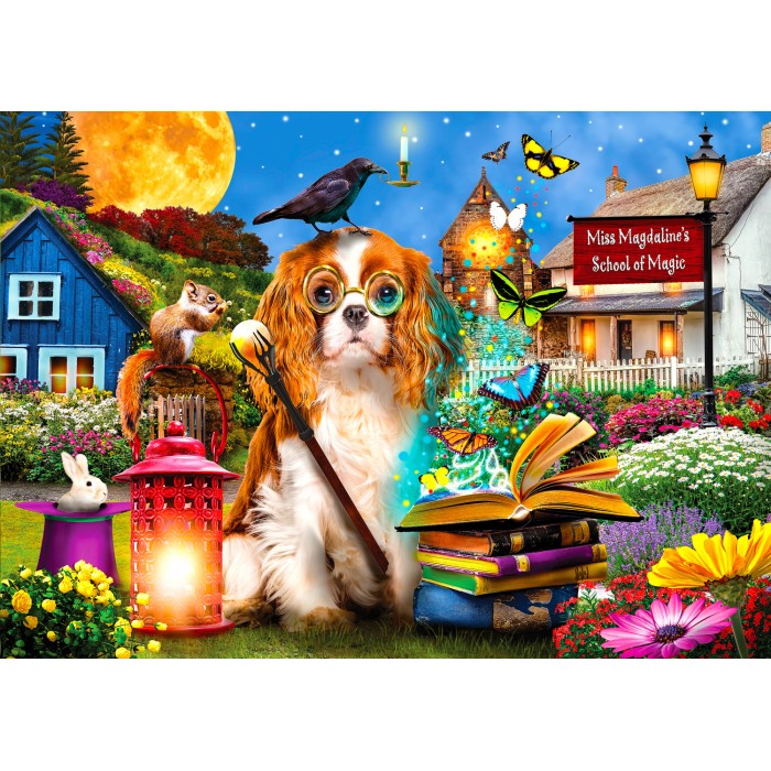 Puzzle  Enjoy-Puzzle-2039 L'École de la Magie