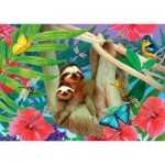 Puzzle   Sweet Sloths
