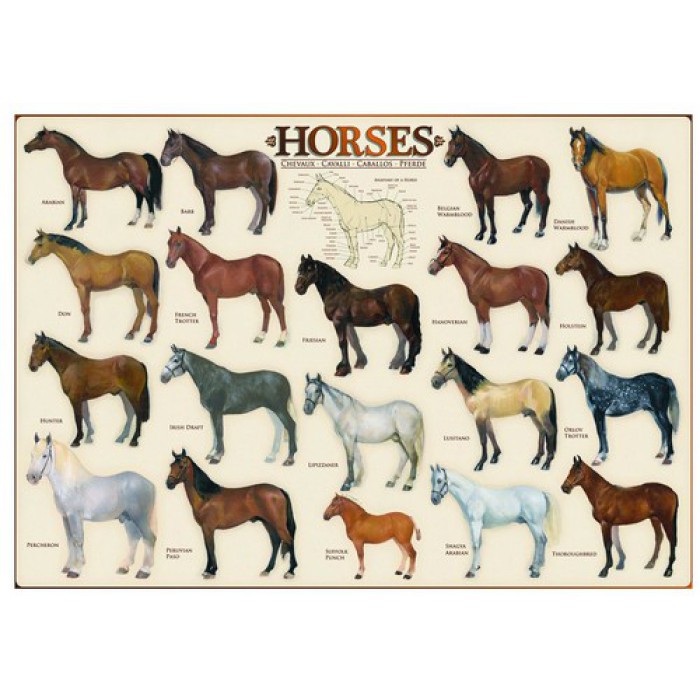 Puzzle  Eurographics-6000-0078 Chevaux