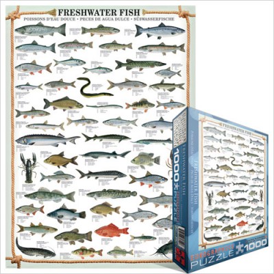 Puzzle Eurographics-6000-0312 Poissons d'eau douce