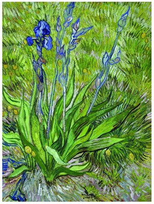 Puzzle Eurographics-6000-0380 Van Gogh Vincent : Les iris