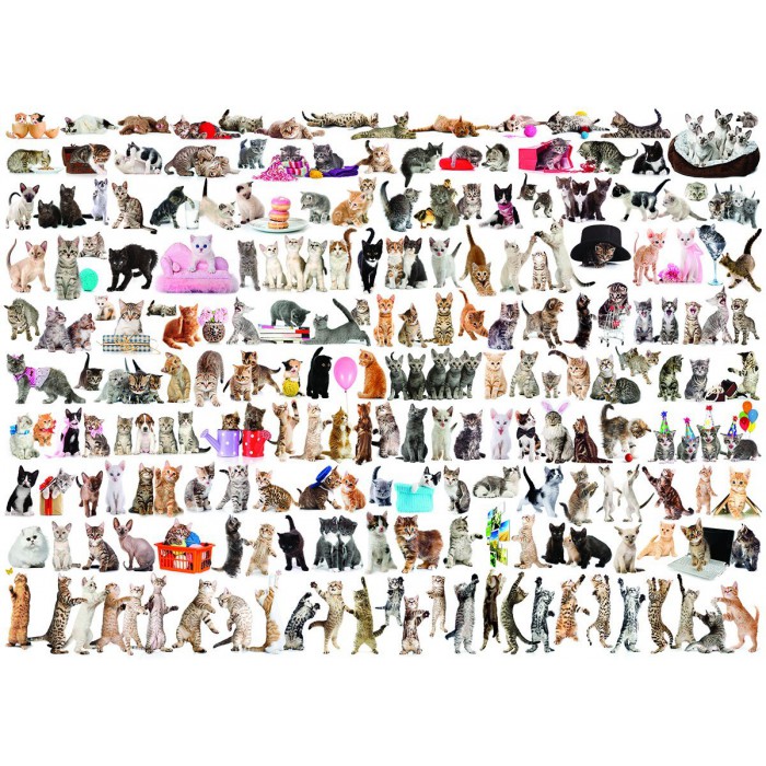 Puzzle  Eurographics-6000-0580 Un Monde de Chats