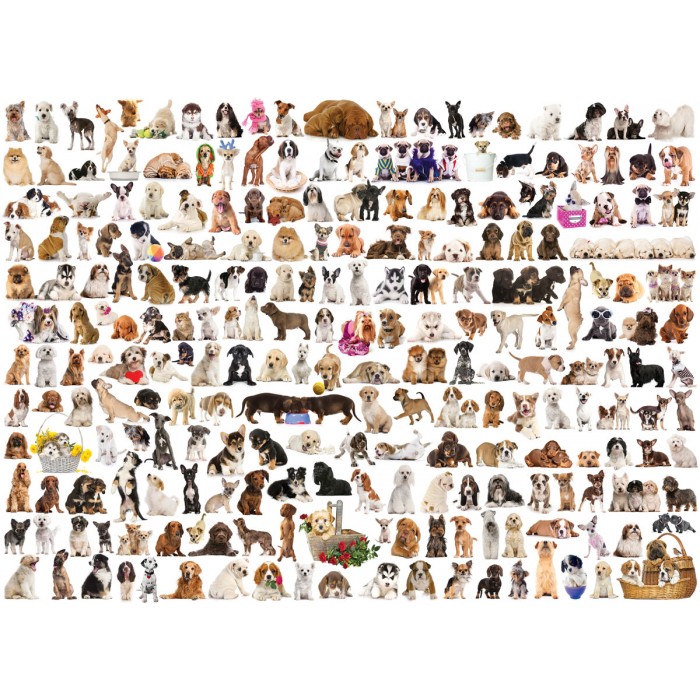 Puzzle Eurographics-6000-0581 Un Monde de Chien