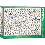 Puzzle  Eurographics-6000-0821 Le Monde des Oiseaux