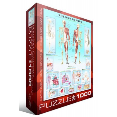 Puzzle Eurographics-6000-1000 Corps Humain