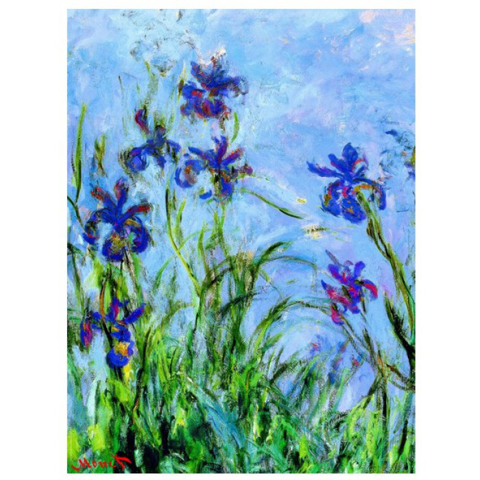 Claude Monet : Iris (détail)