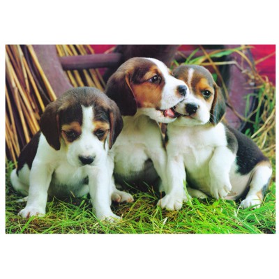 Puzzle Eurographics-6000-4054 Chiots