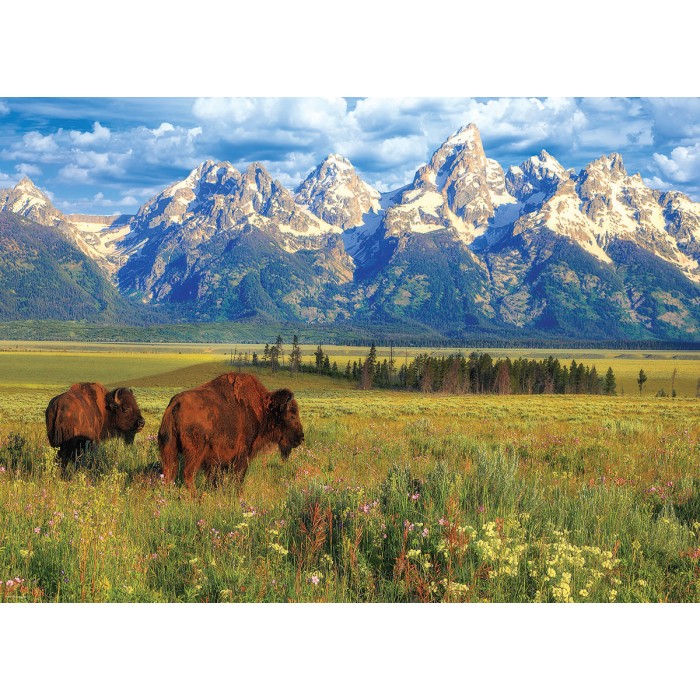 Parc National Grand Teton