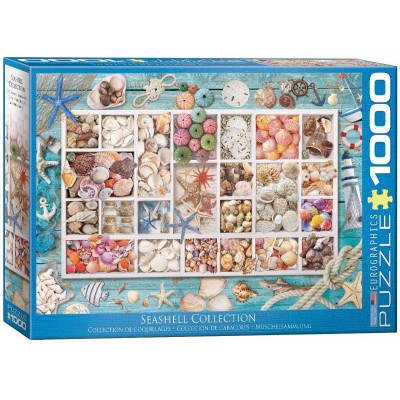 Puzzle Eurographics-6000-5529 Collection de Coquillages