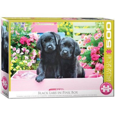 Puzzle Eurographics-6500-5462 Pièces XXL - Labradors Noirs dans une Boîte Rose