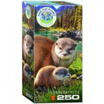Puzzle  Eurographics-8251-5558 Save the Planet - Otters