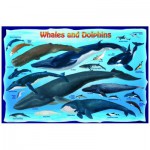 Puzzle   Baleines et Dauphins