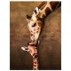 Le baiser de maman Girafe