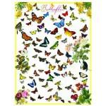 Puzzle   Papillons