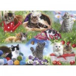 Puzzle  Gibsons-G2253 Pièces XXL - Chats